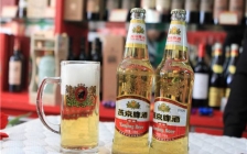 燕京啤酒董事长被立案调查，年内股价大涨30%，7.3万股民有点慌？