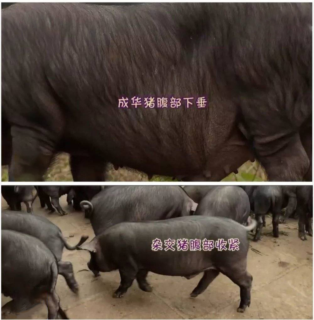 181422135871